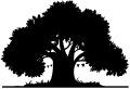 ←&nbsp;Lahaina Banyan Court Park