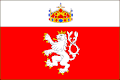 Flag of Nový Bydžov