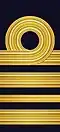 2. Embroidered shoulder mark (1987–2003)