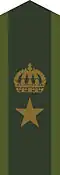 Collar patch m/58 for a major