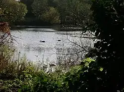 Upper mill pond