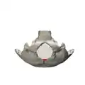 Opisthion shown in red