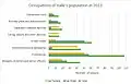 Occupations of the people of Haile in 2011.[1]