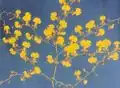 Oncidium flexuosum