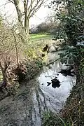 Spring at Nine Wells that feeds the conduit