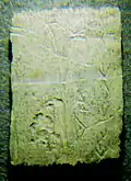 Oracle script from a divining