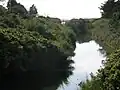 From 'Halleby Å', the stream connecting the wetland areas.