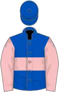 Royal blue, pink hoop and sleeves