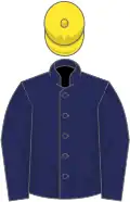 Royal blue, yellow cap
