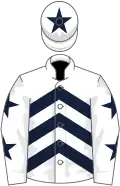 White, dark blue chevrons, white sleeves, dark blue stars, white cap, dark blue star