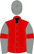 Red, grey sleeves, red armlets, grey cap