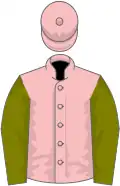 Pink, olive green sleeves