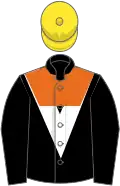 Black, white chevron, orange yoke, yellow cap