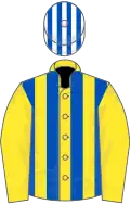 Yellow and royal blue stripes, yellow sleeves, royal blue and white striped cap