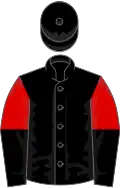 Black, red and black halved sleeves