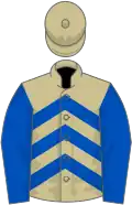 Beige, royal blue chevrons and sleeves