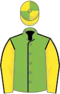 Light green body with black seams, yellow arms with black seams, yellow cap with light green quartered