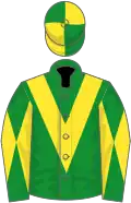 Green, yellow chevron, diabolo on sleeves, quartered cap
