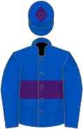 Royal blue, purple hoop and diamond on cap