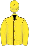 Yellow, Brown seams, Yellow sleeves and cap