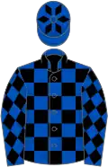 Royal blue and black check, black diamonds on sleeves, royal blue cap, black diamonds