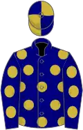 Navy blue, old gold spots, quartered cap
