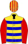 Yellow, blue hoops, red sleeves, red and yellow striped cap