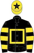 Black, yellow hollow box, hooped sleeves, yellow cap, black star