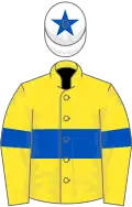Yellow, royal blue hoop and armlet, white cap, royal blue star
