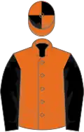 Orange, black sleeves, quartered cap