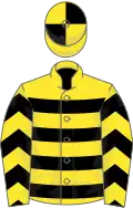 Yellow, black hoops, chevrons on sleeves, quartered cap