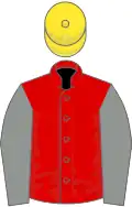 Red, Grey sleeves, Yellow cap