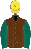 Brown, dark green sleeves, yellow cap