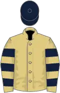 Straw, dark blue hooped sleeves, dark blue cap