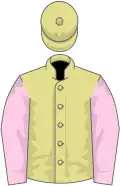 Primrose, rose sleeves
