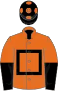 ORANGE, black hollow box, halved sleeves, black cap, orange spots