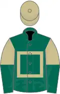 Dark green, beige hollow box, beige and dark green halved sleeves, beige cap