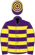 Purple, yellow hoops