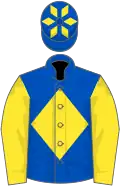 Royal blue, yellow diamond and sleeves, yellow diamonds on cap