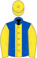 Royal blue, yellow stripe, sleeves and cap