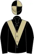 Black, beige chevron, quartered cap