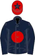 Dark blue, red disc, red cap, blue star
