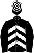 Black, white chevrons on body, hooped cap