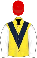 Yellow, dark blue chevron, white sleeves, red cap