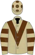 Beige, brown chevron, hooped sleeves and spots on cap