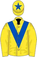 Yellow, royal blue chevron and star on cap