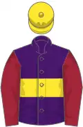 Purple, yellow hoop, maroon sleeves, yellow cap