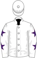 White, purple stars on sleeves