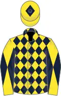 Yellow and dark blue diamonds, diabolo on sleeves, yellow cap, dark blue diamond