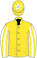 Yellow, white and yellow striped sleeves, yellow cap, white star